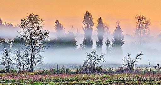 Sunrise Ground Fog_P1190006-8.jpg - Photographed near Smiths Falls, Ontario, Canada.